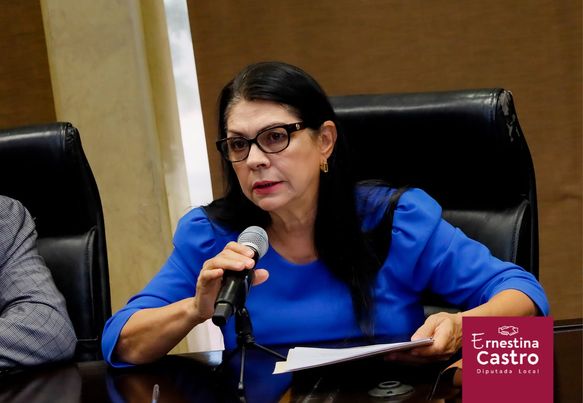 DIPUTADOS CELEBRAN ACUERDO SOBRE CONSUMO Y AMPLIACIÓN DE SUBSIDIO